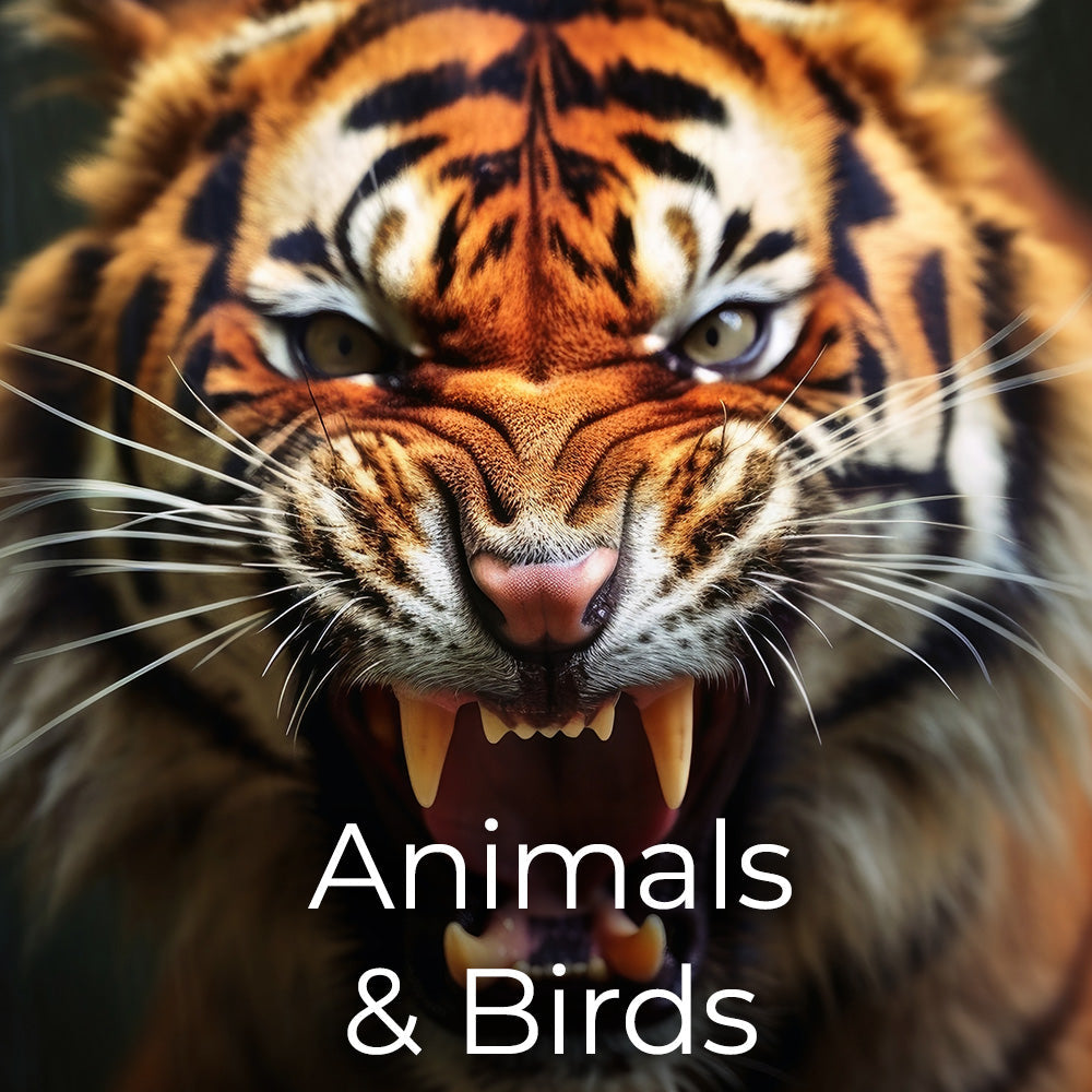 Animals and Birds Sound Effects