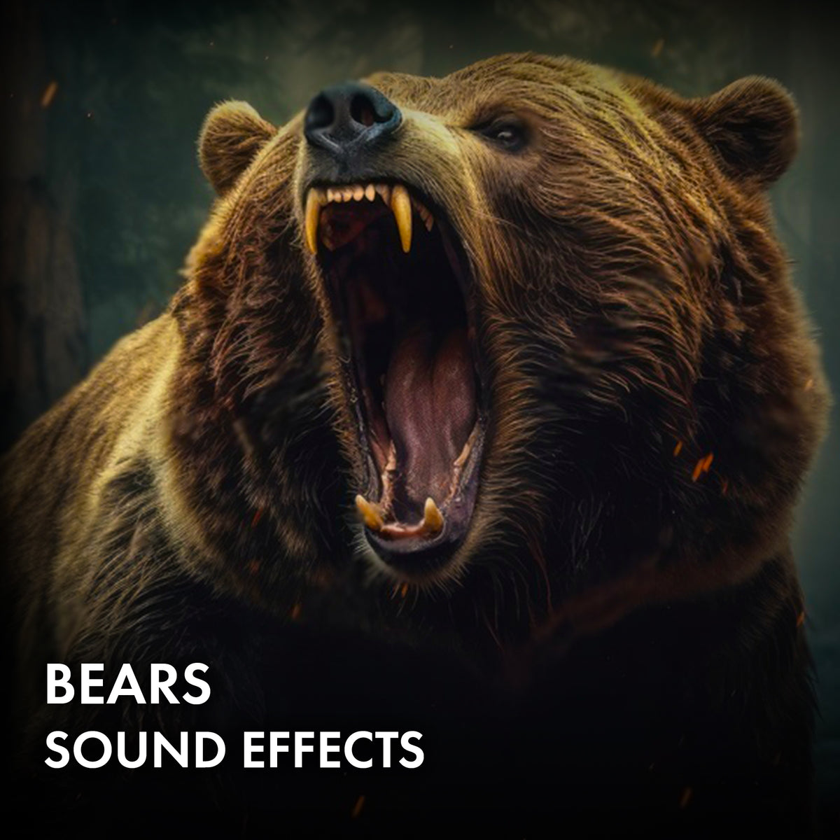 Bears Sound Effects