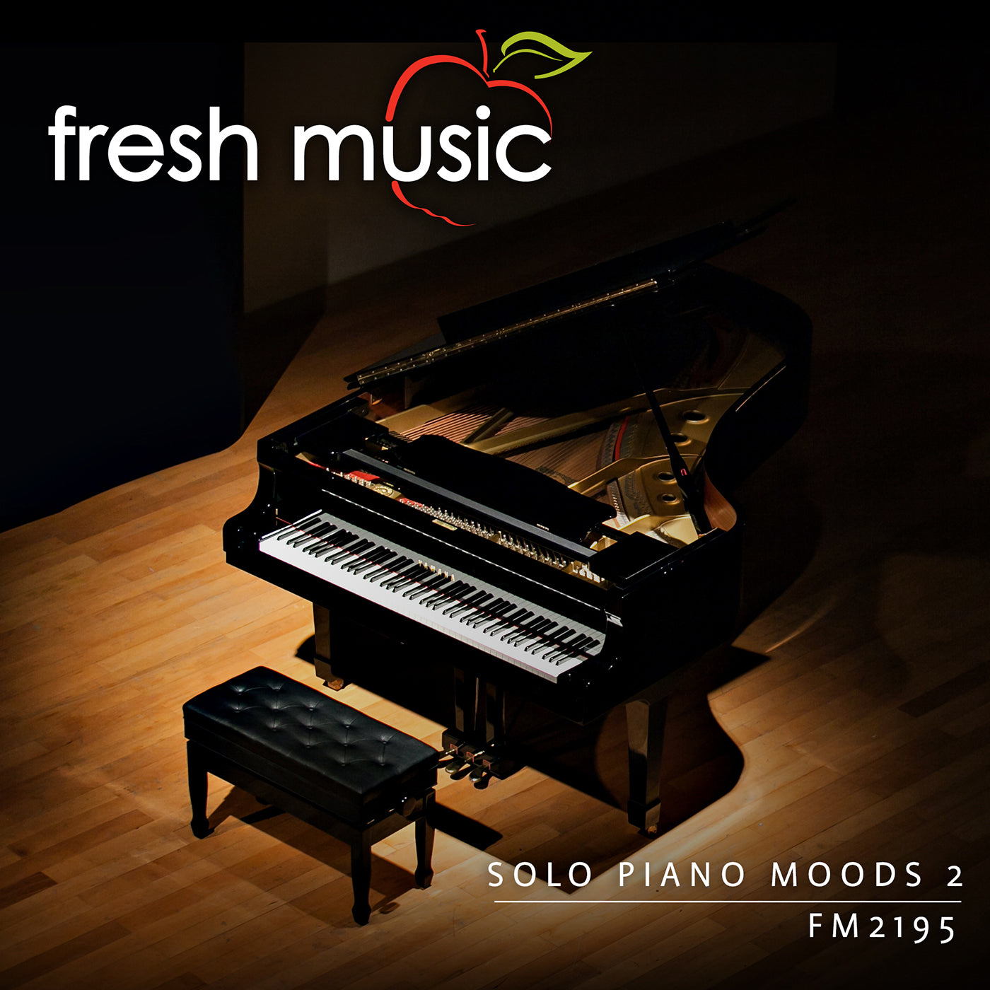 Solo Piano Moods 2 – Royalty Free Music