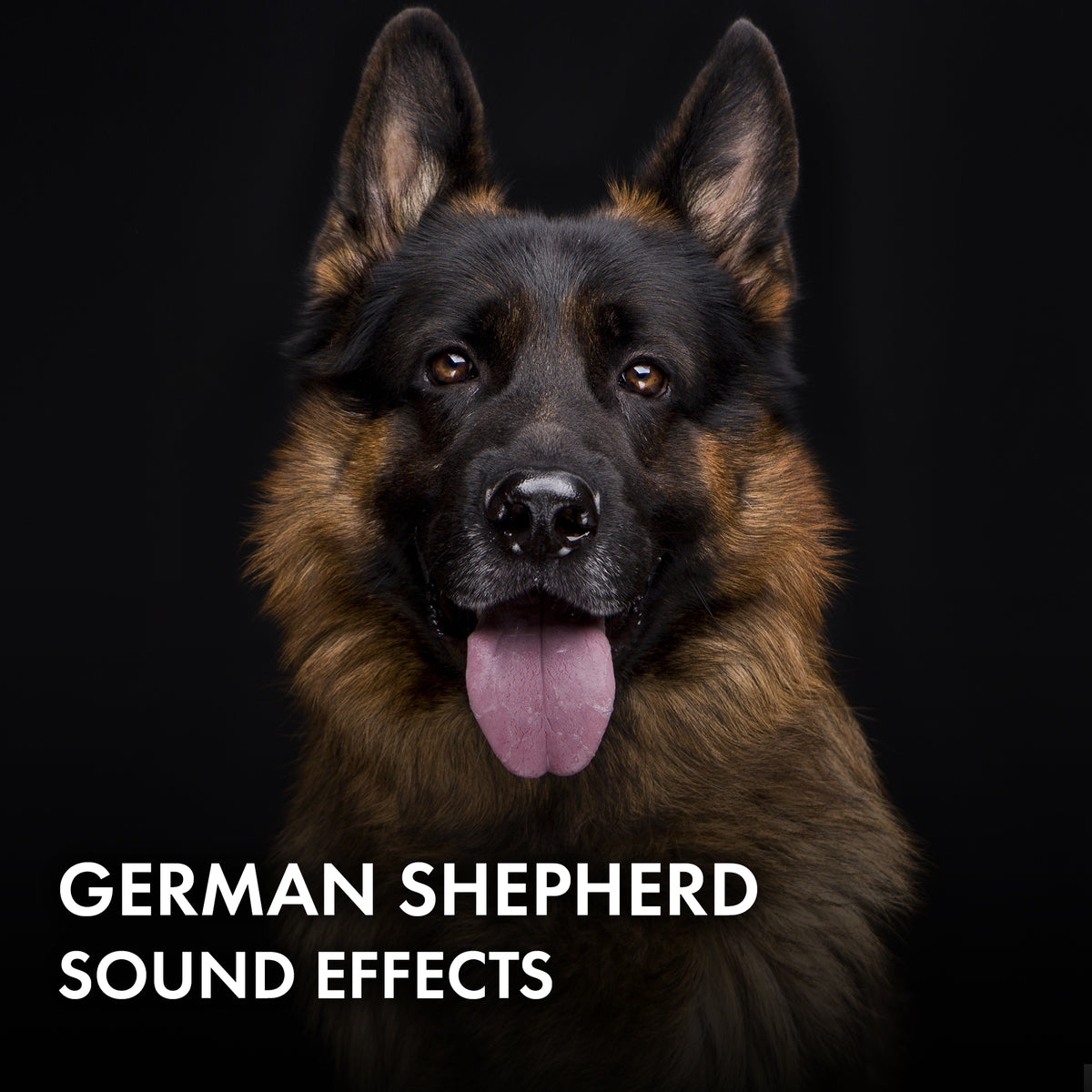 German Shepherd Sound Effects