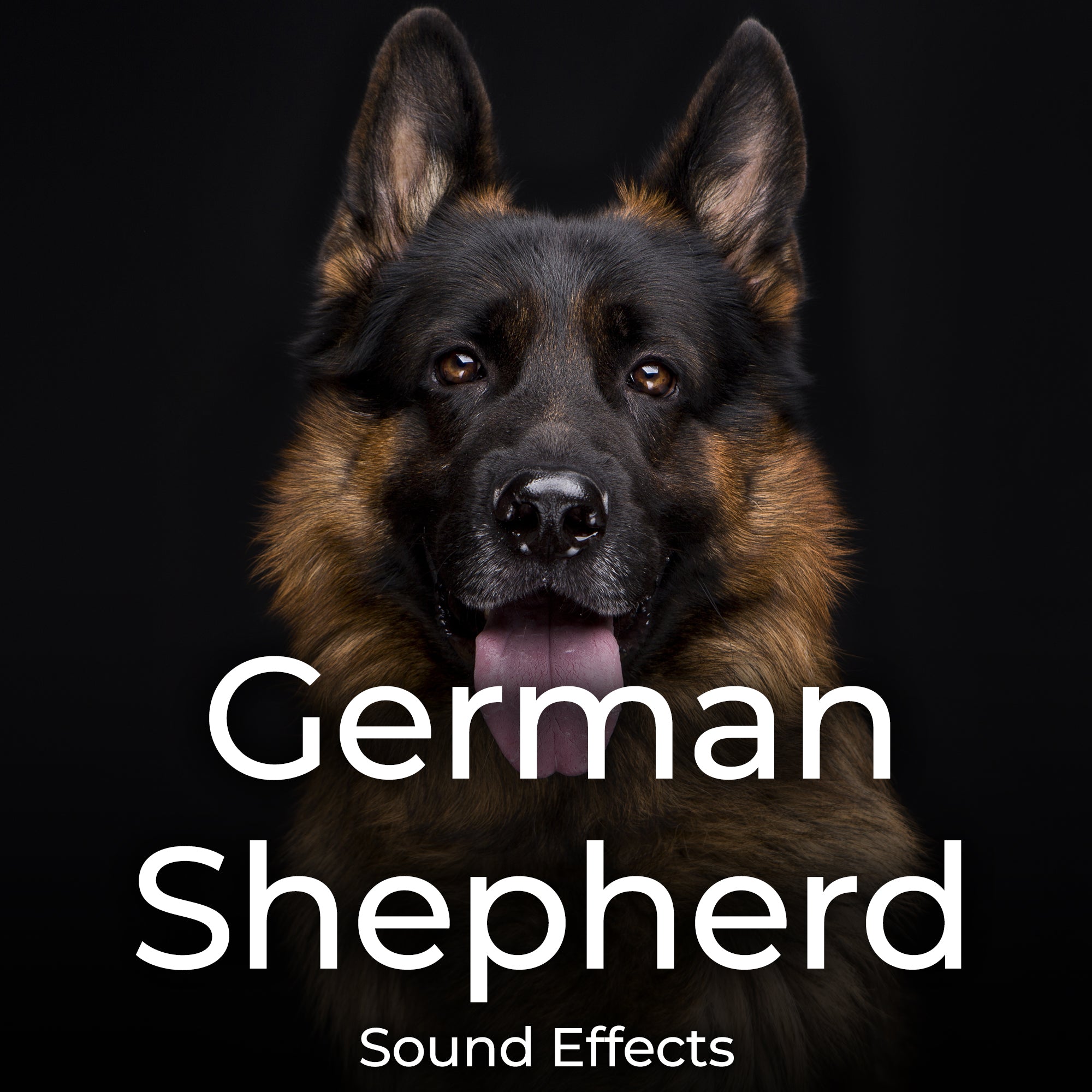 German Shepherd Sound Effects