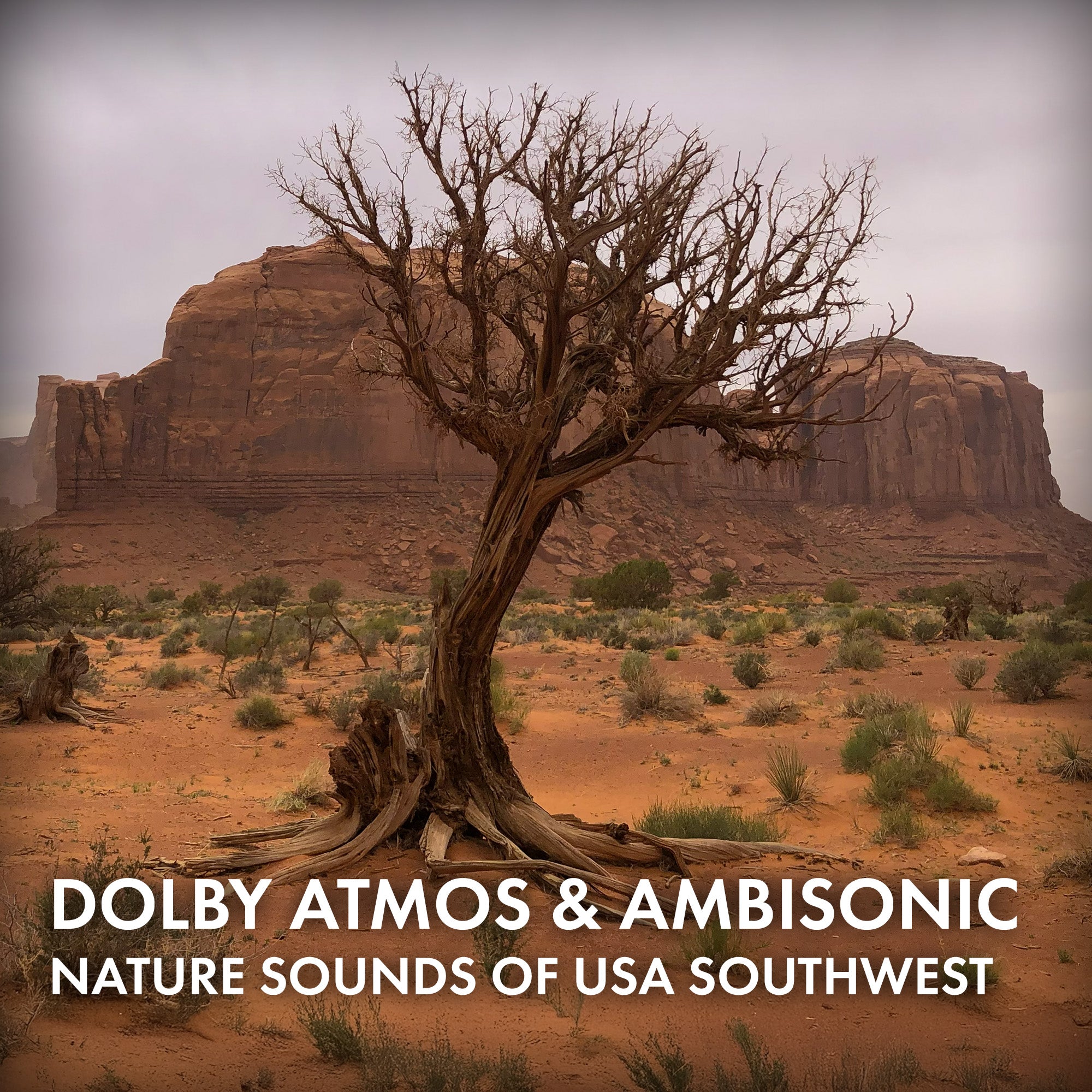 Nature Sounds of the American Southwest Dolby Atmos and Ambisonic Collection