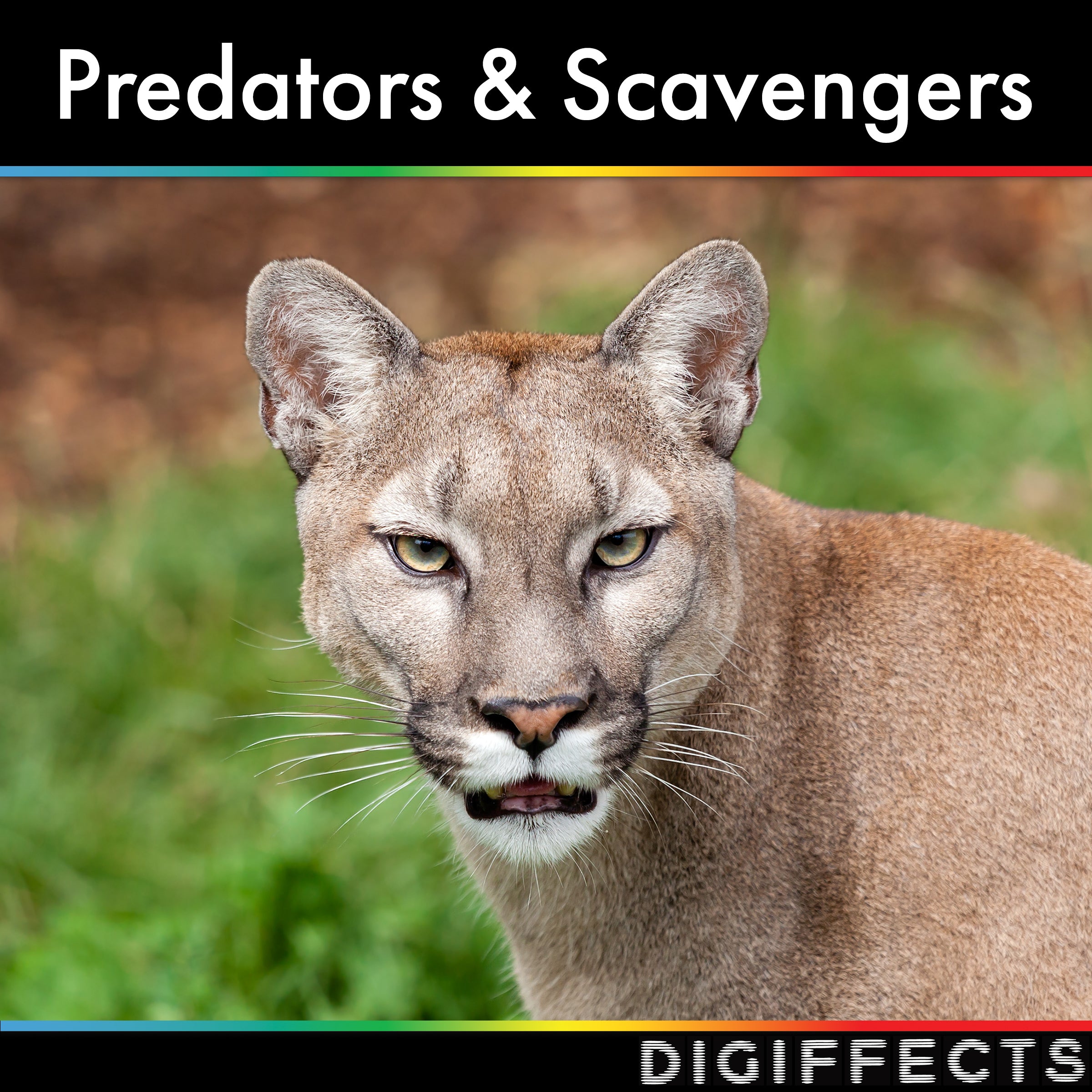 Predators and Scavengers SFX Album