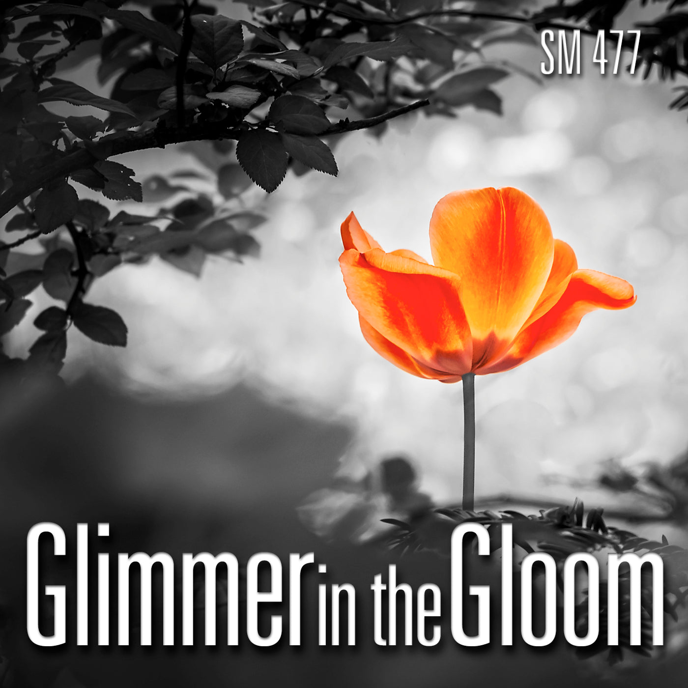 Glimmer in the Gloom - Royalty Free Music