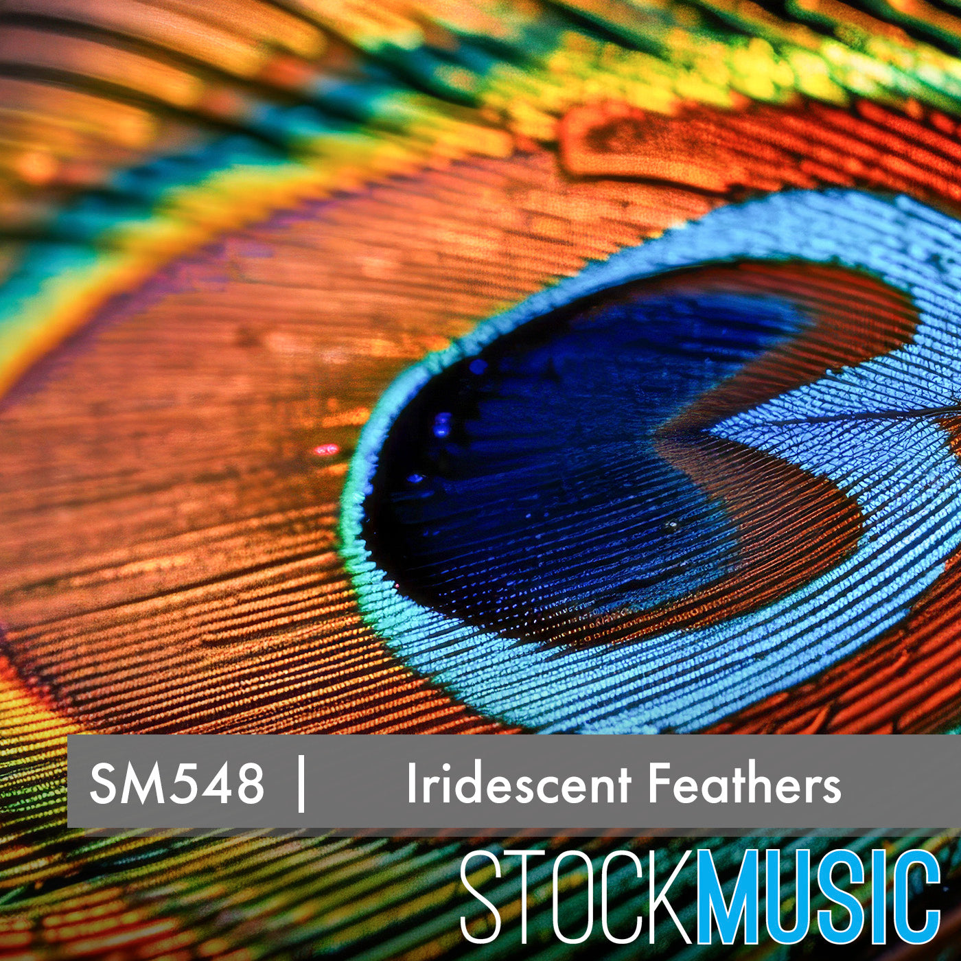 Iridescent Feathers