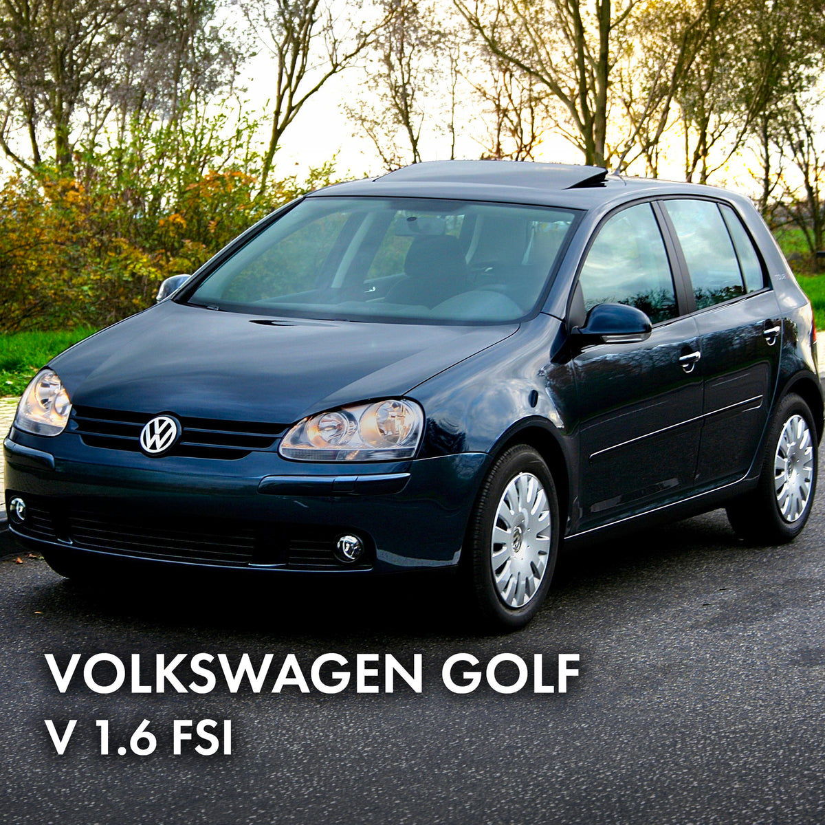 2007 Volkswagen Golf V 1.6 FSI