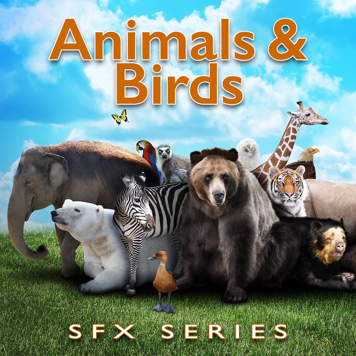 Animals & Birds SFX Series
