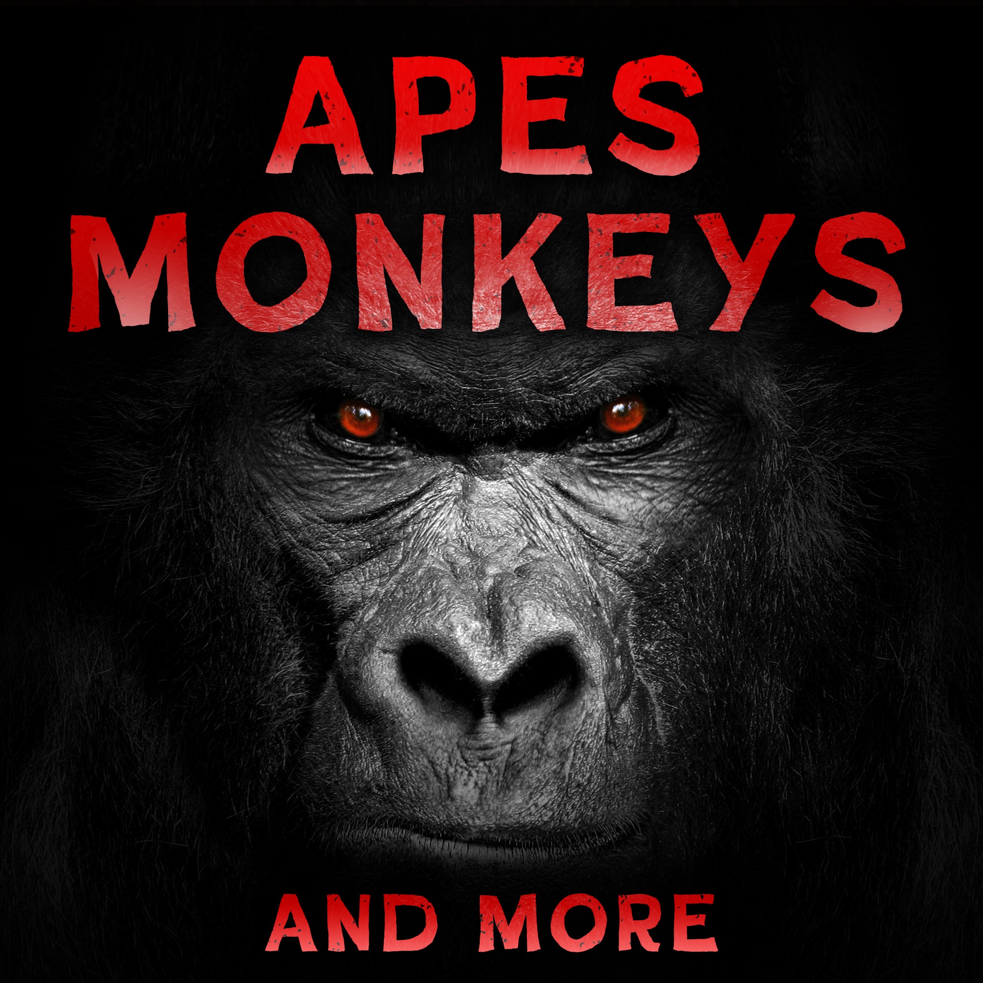 Apes, Monkeys & More