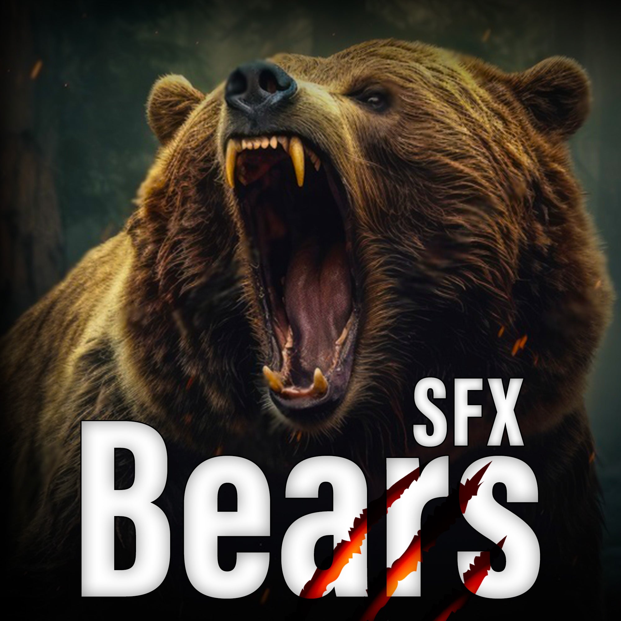 Bears Sound Effects