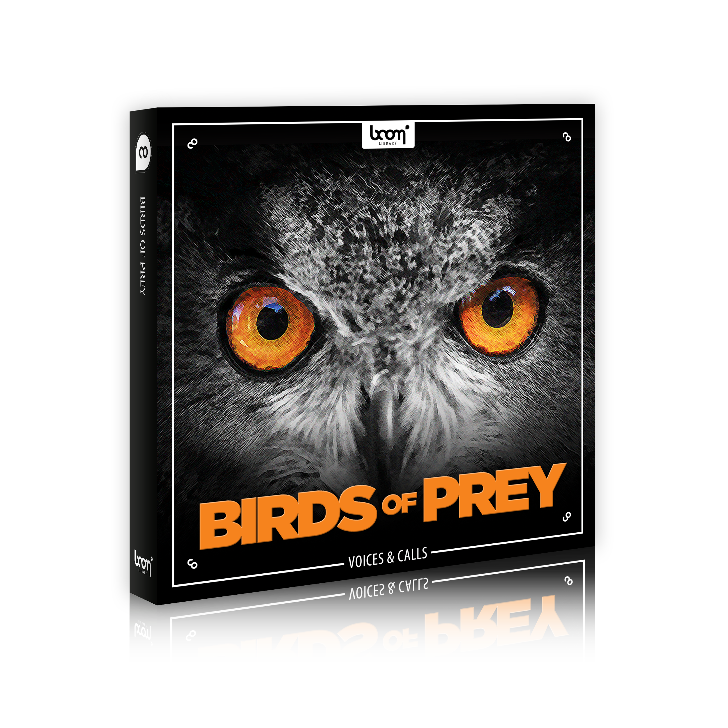 Birds of Prey Sound Effects by Boom