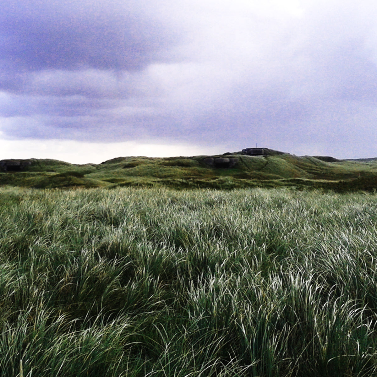 Detunized - Abandoned Bomb Shelters
