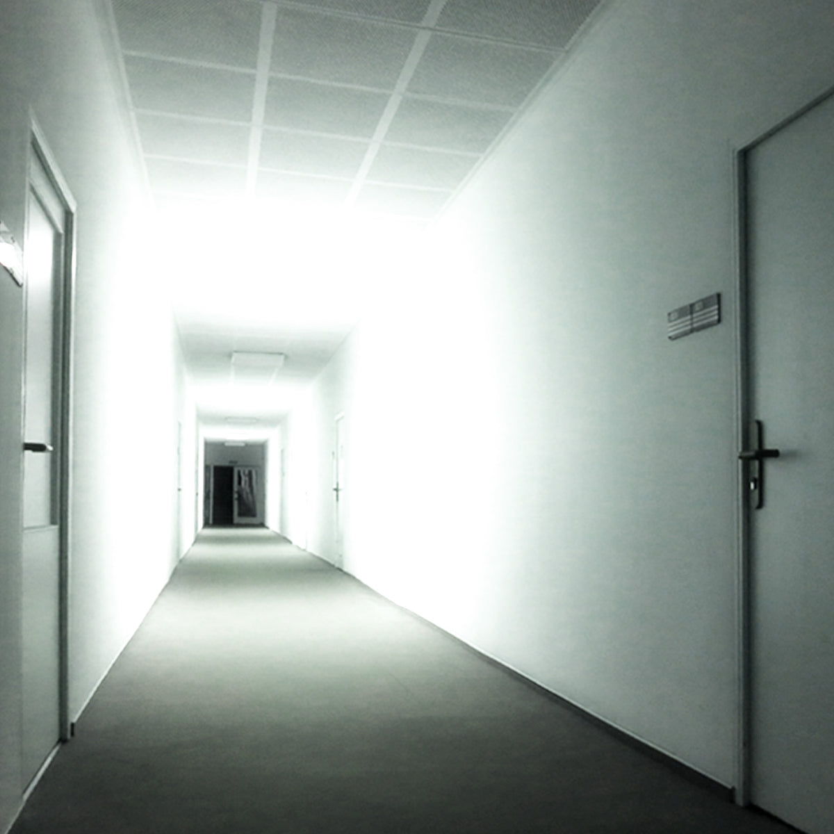 Detunized – Room Tones Office Building