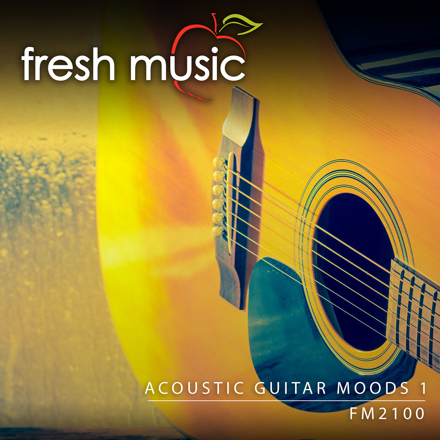 Acoustic Guitar Moods 1
