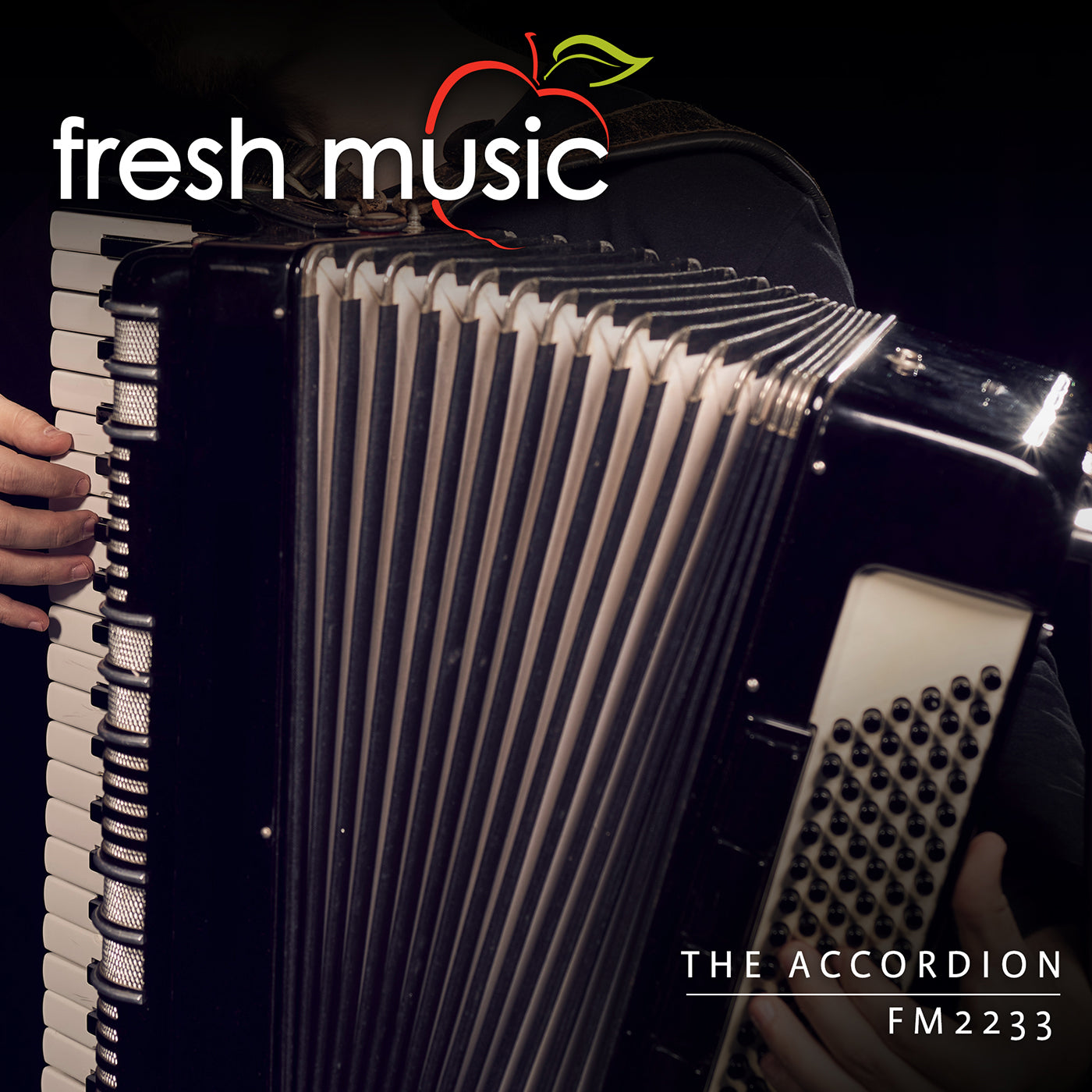 The Accordion - Royalty Free Music