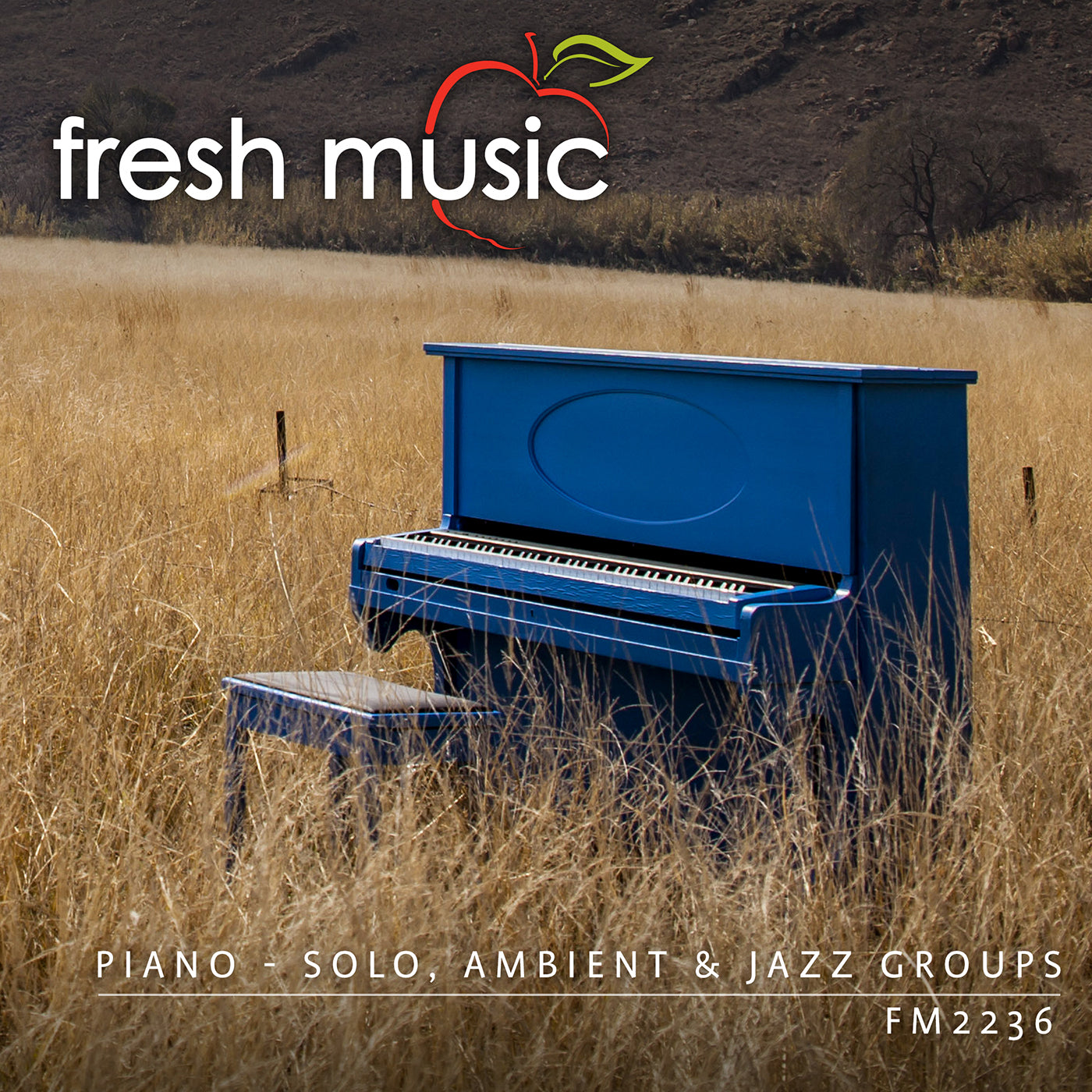 Piano - Solo, Ambient & Jazz Groups