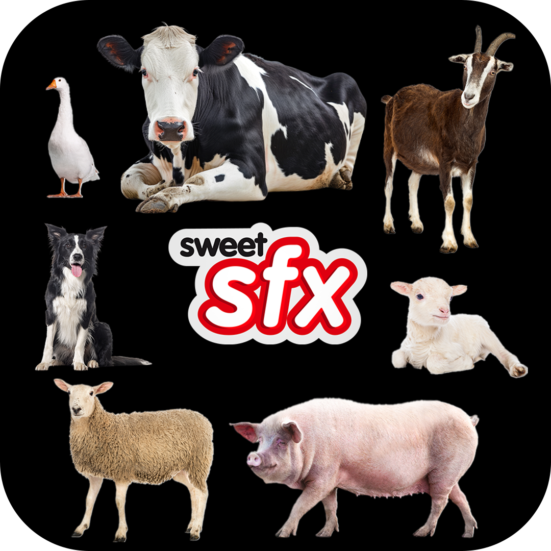 Farm Animals by Sounding Sweet