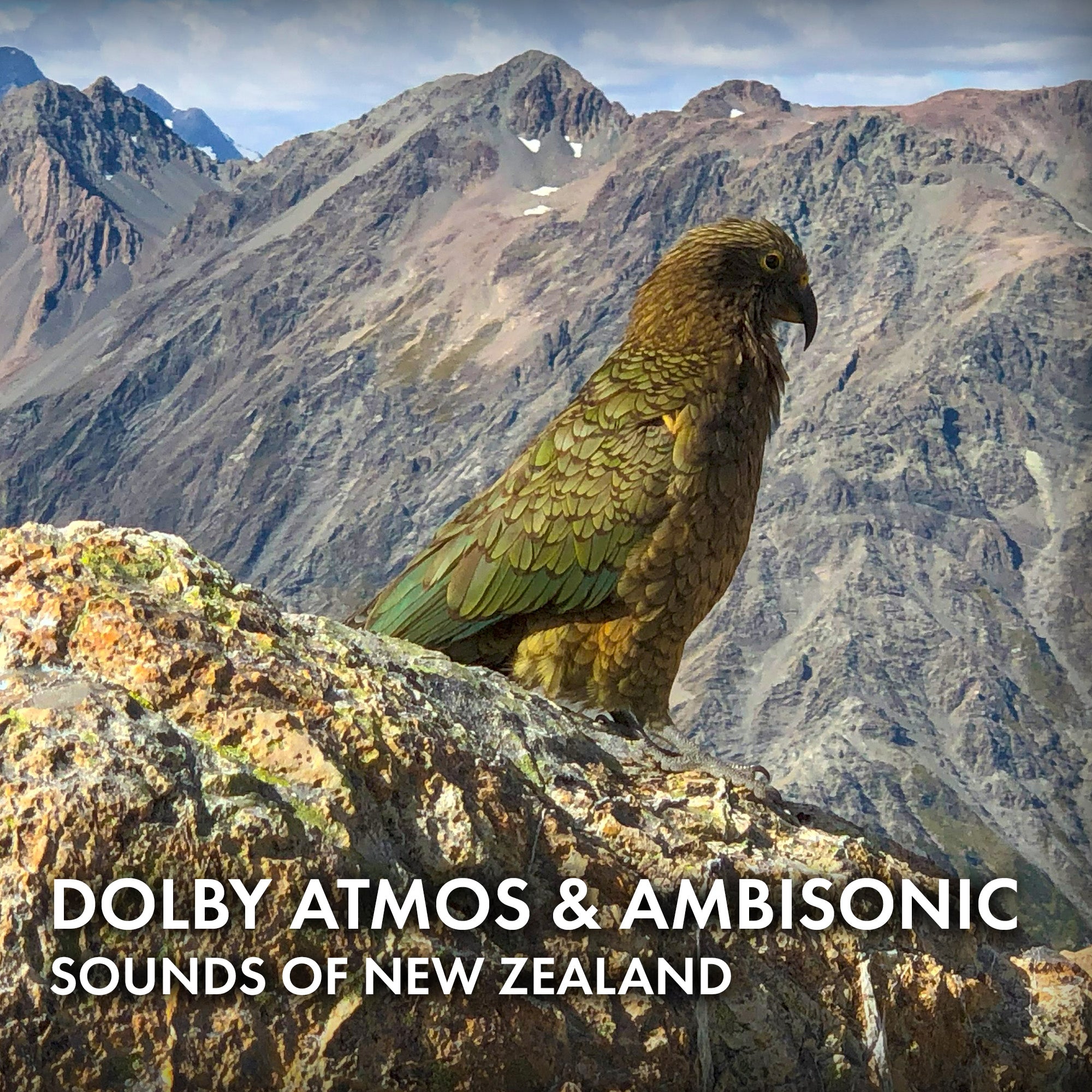 Sounds of New Zealand Dolby Atmos and Ambisonic Collection