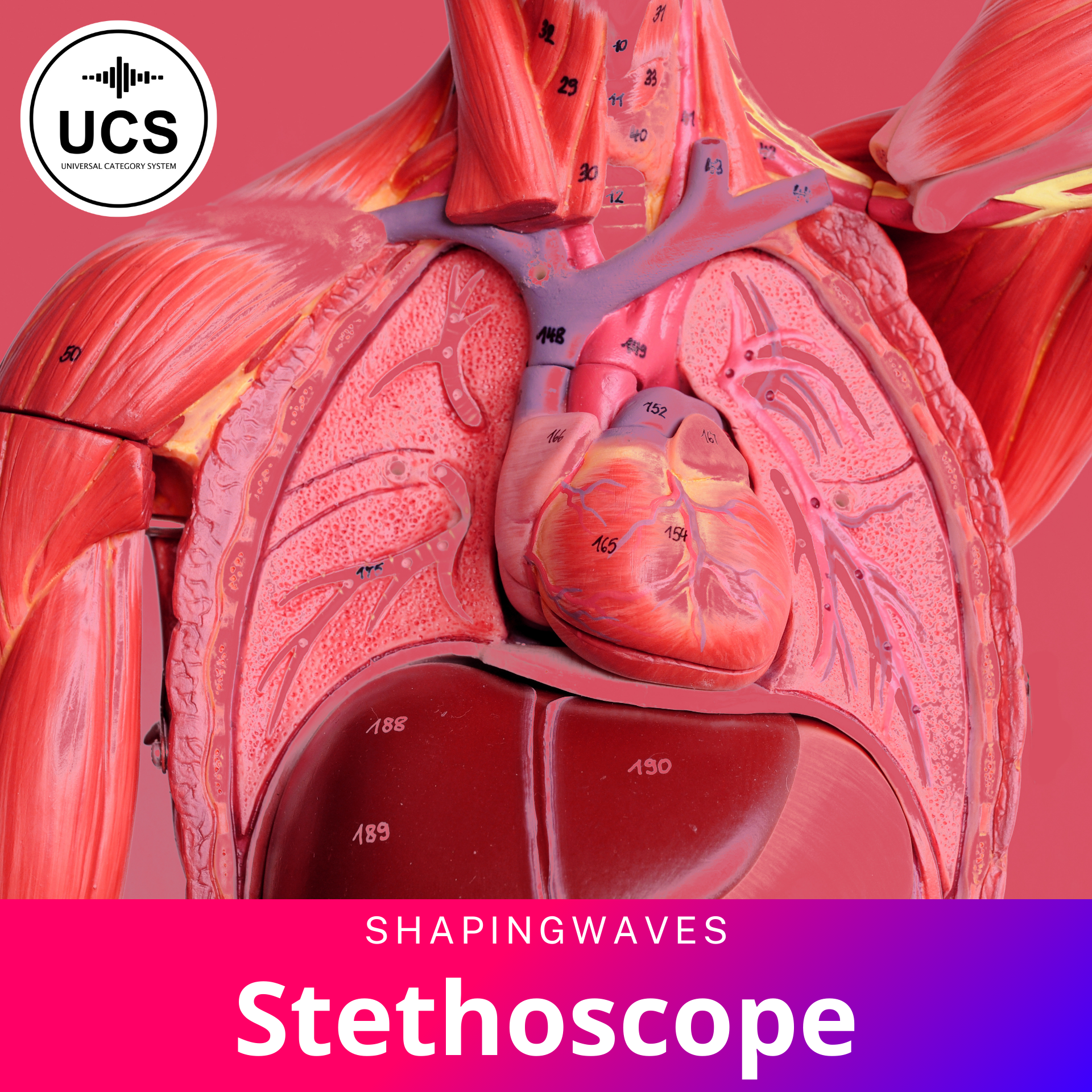 Shaping Waves - Stethoscope