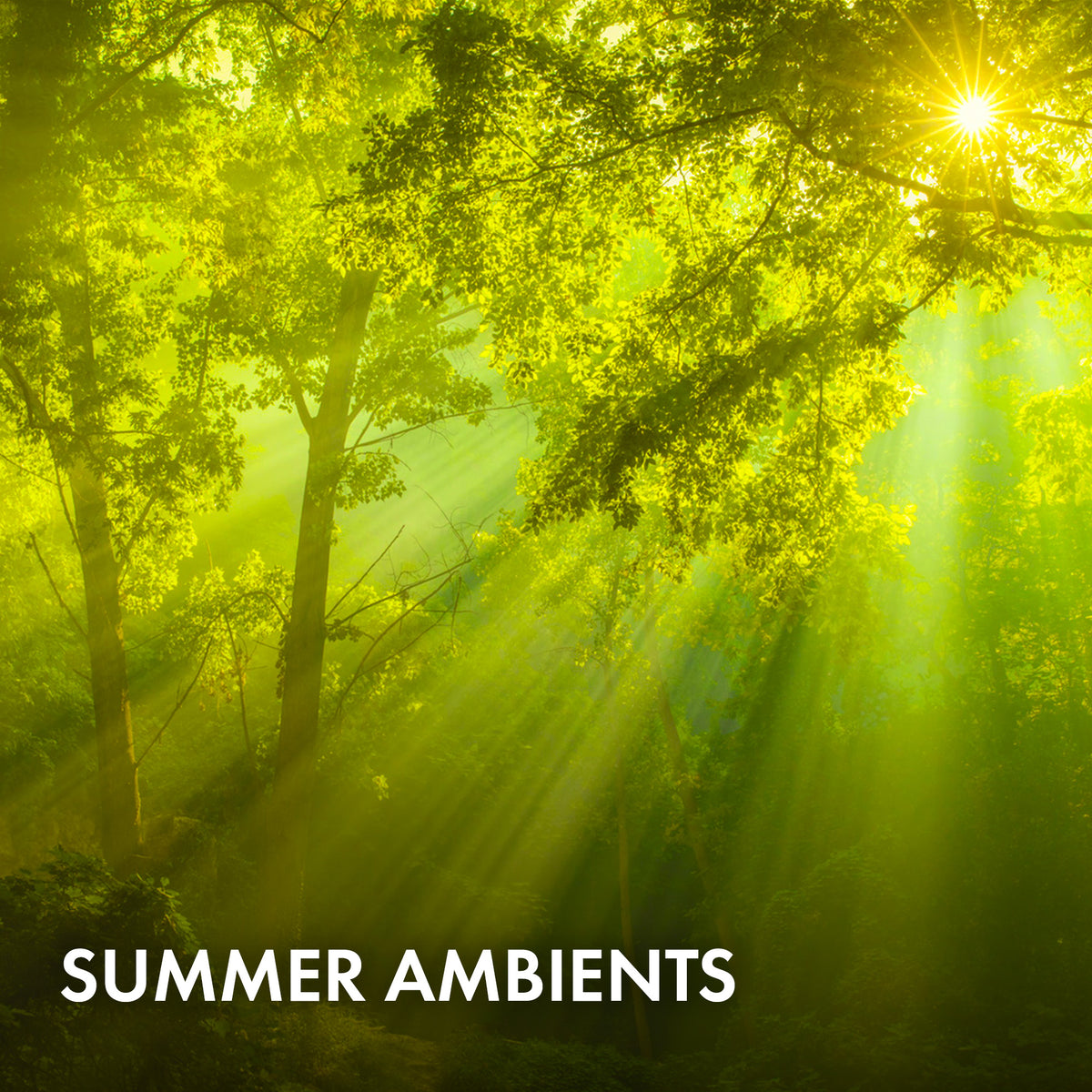 Summer Ambients