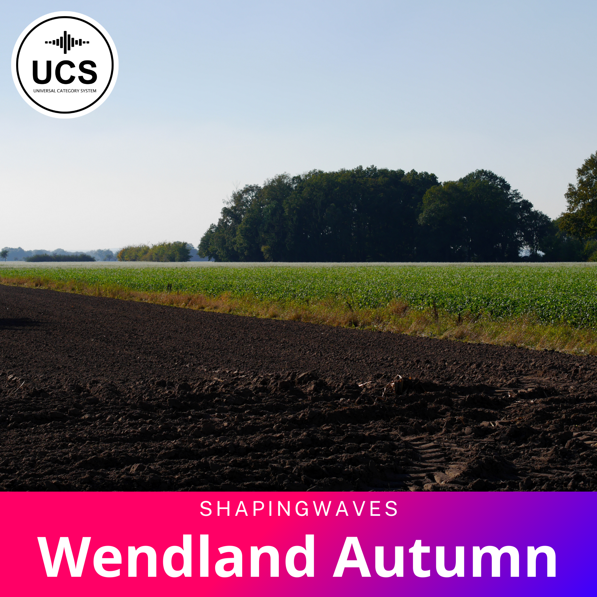 Shaping Waves - Wendland Autumn