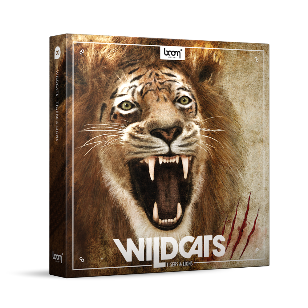 Wildcats - Lions & Tigers Sound Effects Library Bundle