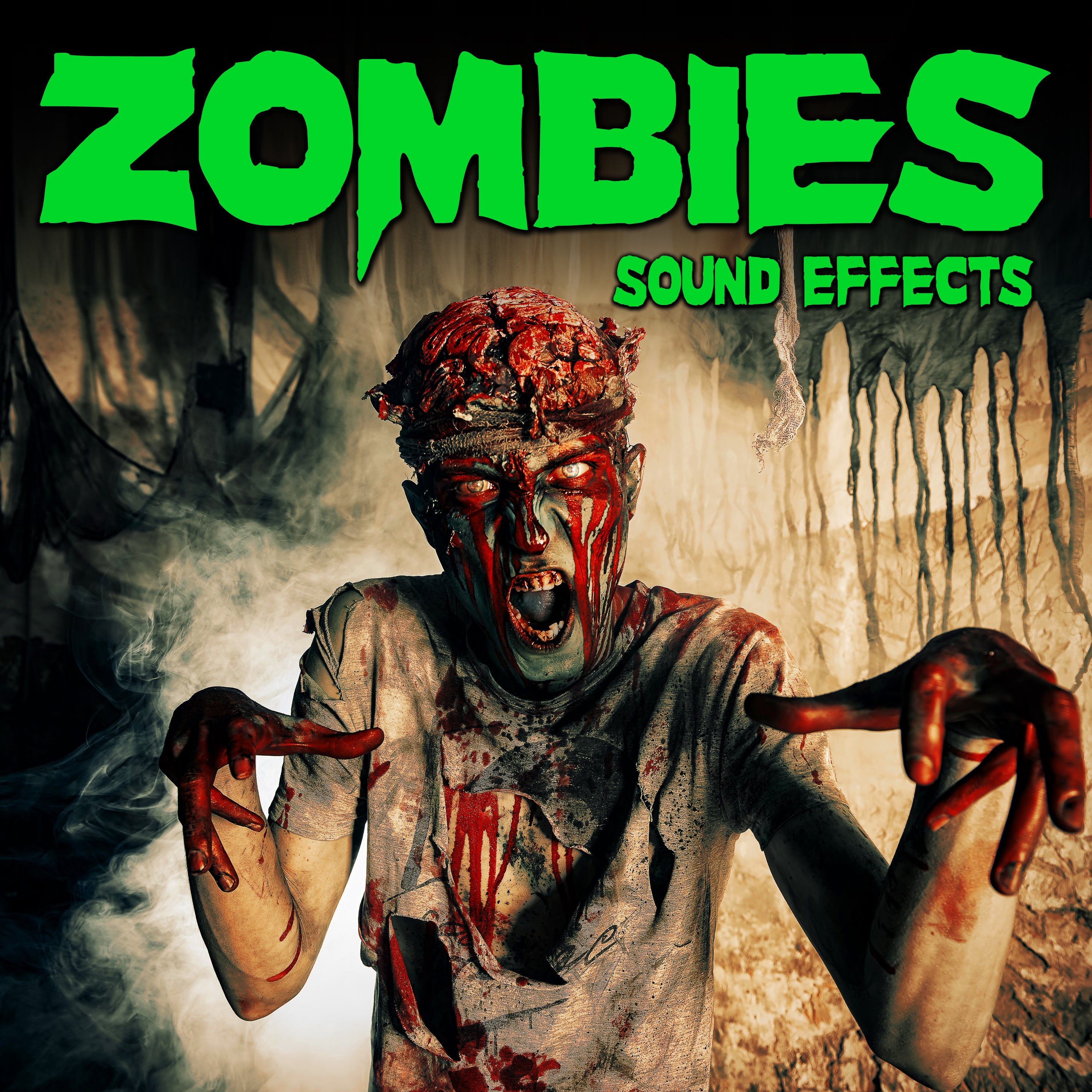 Zombies Sound Effects