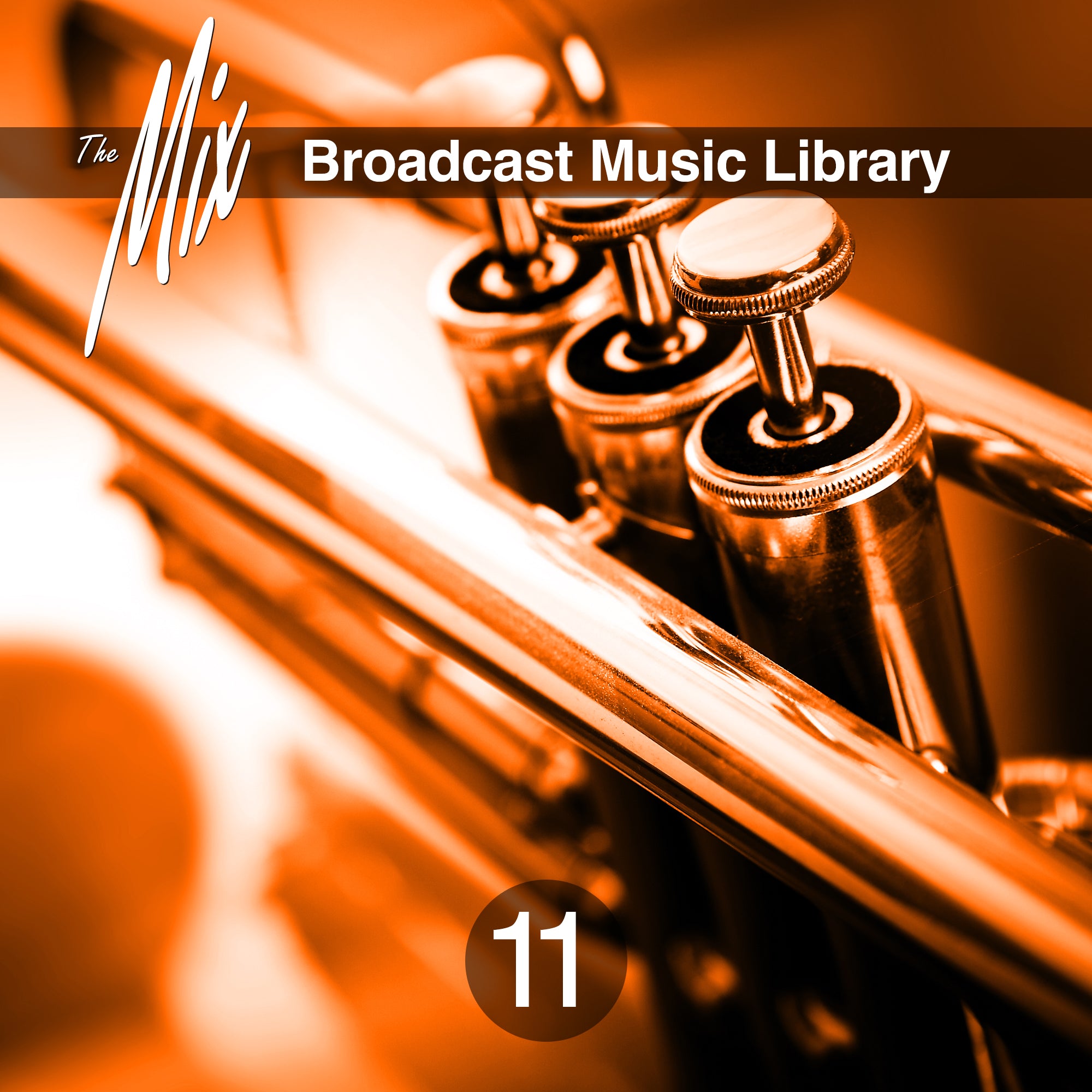 The Mix XI Broadcast Music Library - Royalty Free Music | Sound Ideas